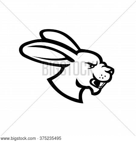 Black And White Illustration Of Head Of An Angry Hare, Jackrabbit Or Rabbit Viewed From Side On Isol
