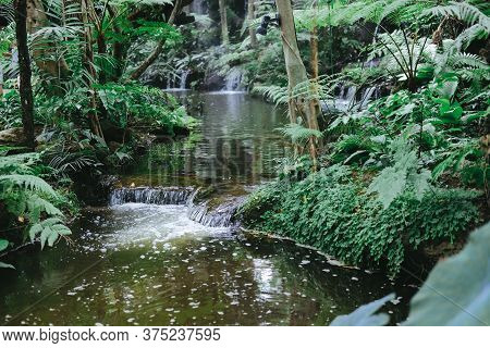 Watefall & Pond Plant Tree In Garden Park