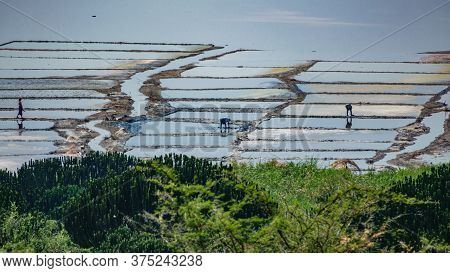 Long Shot Of Saltmine At Dusk With Workers
