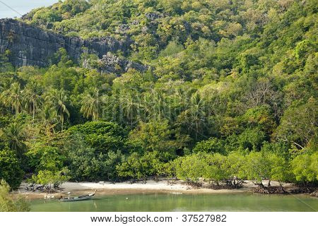 tropiska landskapet i Koh Tarutao island, Thailand