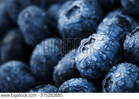 Blueberries Close-up In Full Screen With Dew Drops.