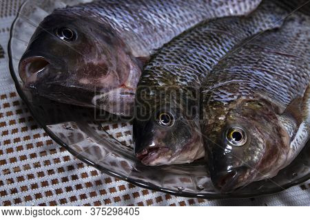 Nile Tilapia Fish, Oreochromis Niloticus On The Plate