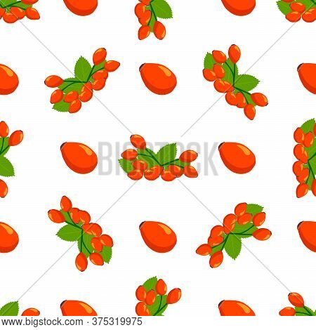 Illustration On Theme Big Colored Seamless Rose Hip, Bright Berry Pattern For Seal. Berry Pattern Co