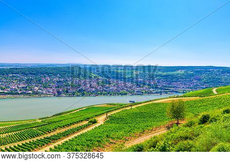 Aerial Panoramic View Of River Rhine Gorge Or Upper Middle Rhine Valley Winemaking Region With Viney