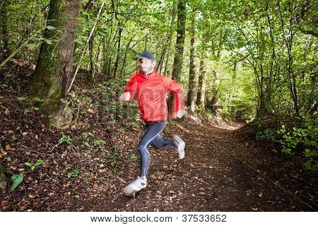 Male trail runner running in the forest on a trail. Red shirt and black pants. Summer season. Slight blur in runner to show motion. Horizontal composition.