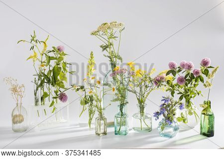 Wild Field Herbs In Bottles Of Different Shapes On A White-gray Background As A Decoration. Card