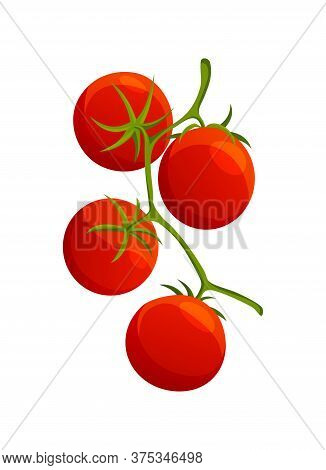 Chery Tomato. Fresh Healthy Red Tomato Made In Flat Style. Vegetarian Food. Vegetable From The Farm.