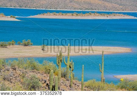 View Of Lake Pleasant In Lake Pleasant Regional Park, Sonoran Desert, Arizona Usa