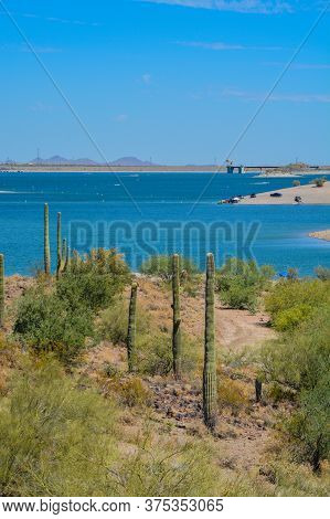 View Of Lake Pleasant In Lake Pleasant Regional Park, Sonoran Desert, Arizona Usa