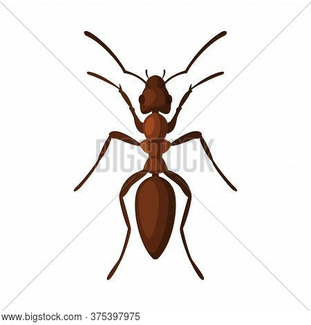 Black Gaarden Ant, Pest Control And Extermination Concept Vector Illustration On White Background