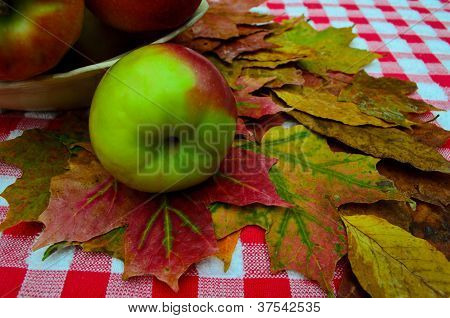 яблоки и листья осень