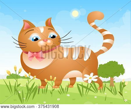 Cat On The Lawn In The Grass On A Sunny Summer Day. Vector Illustration