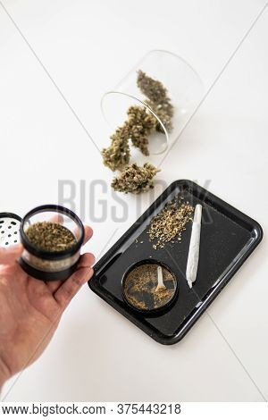 Kief In Grinder. Indica Sativa Medical Health. Close Up Vertical Shot. The Pot Leaves On Buds Thc Cb