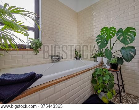 Bright Bathroom With Subway Tiles And A Large Variety Of Green Potted Plants Such As A Pancake Plant
