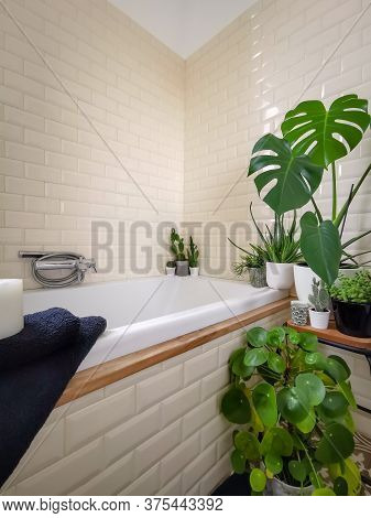 Bright Bathroom With Subway Tiles And A Large Variety Of Green Potted Plants Such As A Pancake Plant