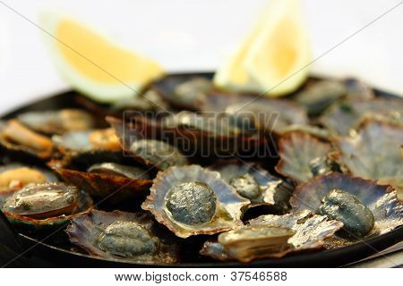 Patelle alla griglia