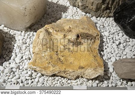 Natural Mineral Quartz Chlorite Palygorskite Rock On White Stones
