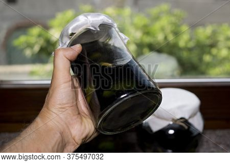 Nocino Jars Italian Liqueur Made With Unripe Walnuts