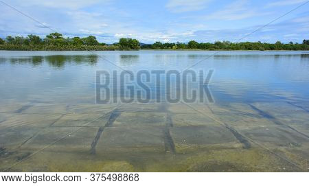 The Wetlands Of Isola Della Cona In Friuli-venezia Giulia, North East Italy