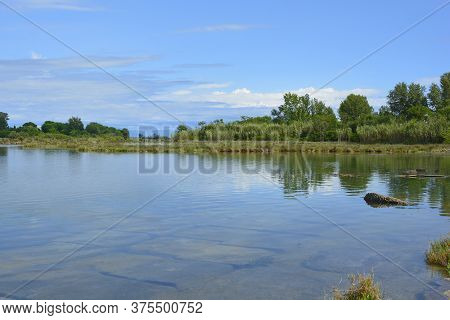The Wetlands Of Isola Della Cona In Friuli-venezia Giulia, North East Italy