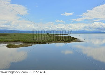 The Wetlands Of Isola Della Cona In Friuli-venezia Giulia, North East Italy