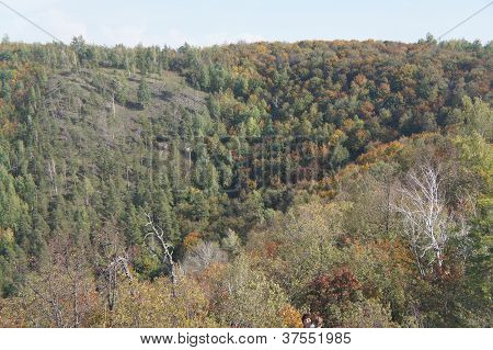 natur