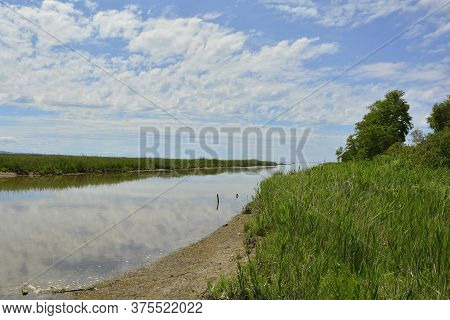 The Wetlands Of Isola Della Cona In Friuli-venezia Giulia, North East Italy