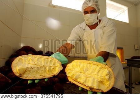 Porto Seguro, Bahia / Brazil - October 15, 2010: Production Of Cupuacu Pulp In Industry In Porto Seg