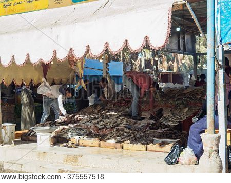 Hurgada, Egypt - February 2020: Men Selecting Fish On Stack Full Of Sea Food, Medium View. Street Ma
