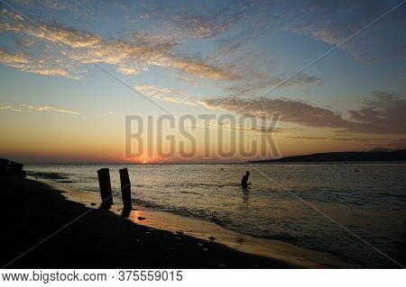 Banyuwangi, Indonesia - July 04, 2020 : A Woman Playing With The Dogs At Watudodol Beach Banyuwangi 