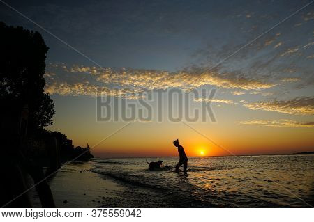 Banyuwangi, Indonesia - July 04, 2020 : A Woman Playing With The Dogs At Watudodol Beach Banyuwangi 