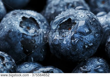Blueberries Close-up In Full Screen With Dew Drops.