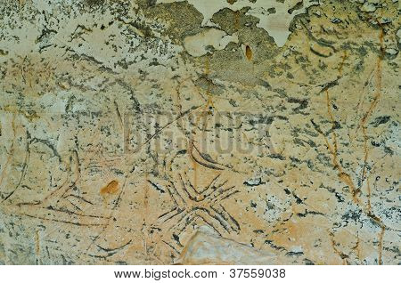 Ancient Stone Engraving In Phu Pha Yon, Sakon Nakhon, Thailand