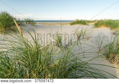 Beach With Sand Dunes And Marram Grass In Soft Sunrise Sunset Light. Skagen Nordstrand, Denmark. Ska