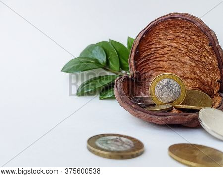 Belarusian Coins Are Scattered Near The Dryflower On A White Background.
