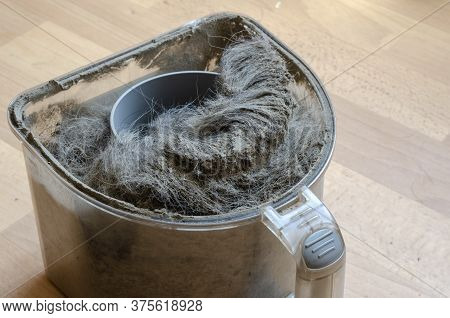 Vacuum Cleaner Container With Garbage. A Plastic Waste Container Full Of Dust And Wool. Cleaning Ser