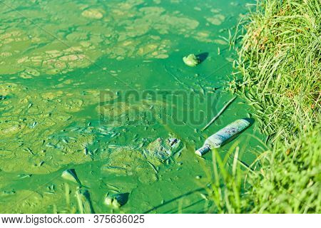 Environmental Water Pollution. Polluted River - Dirty Green Water, Garbage, Waste And Trash. Harmful