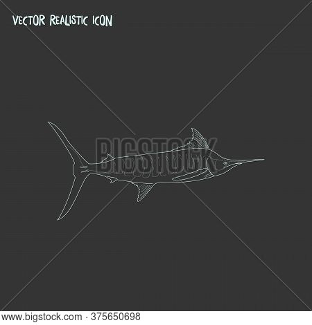 Marlin Icon Line Element. Vector Illustration Of Marlin Icon Line Isolated On Clean Background For Y