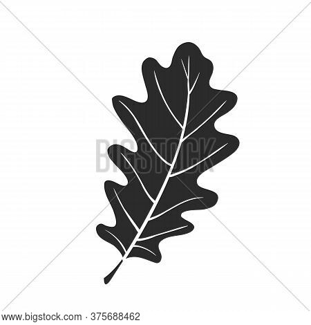 Oak Leaf Icon, Autumn Symbol. Vector Illustration.