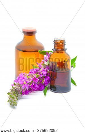 Bottles With Natural Plant Extract And Essential Oil  From The Purple Loosestrife (lythrum Salicaria
