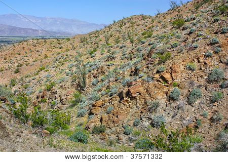 Hellhole Canyon Vibrant In Color
