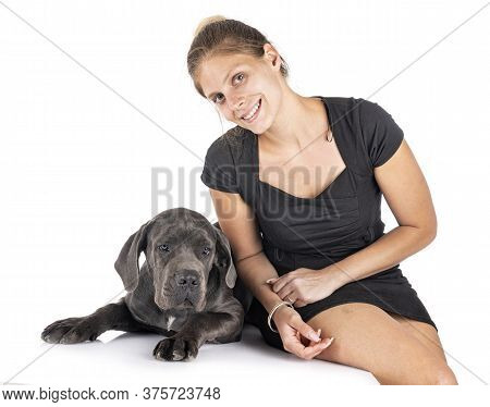 Puppy Great Dane And Woman In Front Of White Background