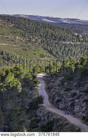 A Couple Of Hikers On A Forest Path In The Judea Mountains Near Jerusalem, Israel