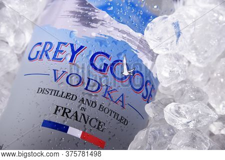 Bottle Of Grey Goose Vodka In Crushed Ice
