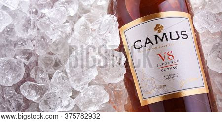 Bottle Of Camus, A Brand Cognac From Cognac, France