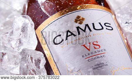 Bottle Of Camus, A Brand Cognac From Cognac, France