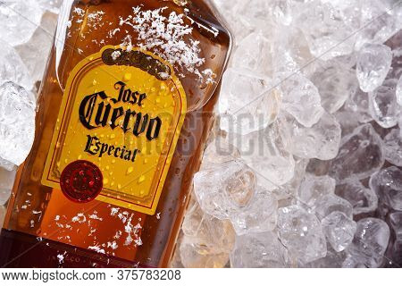 Bottle Of Tequila Jose Cuervo In Crushed Ice