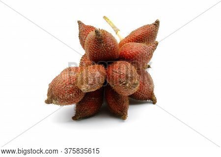 Fresh Salacca Zalacca Or Salak Fruits  Isolated On White Background. Salak Fruit
