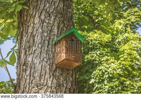 Bird House Hanged In O Trees Trunk With Leaves Around It