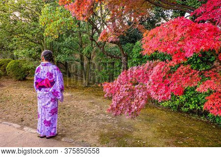 Girl Dressed In Traditional Japanese Kimono Enjoying The Autumn Scenery In A Garden In Kyoto, Japan